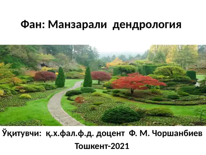 Манзарали дендрология: Шумурт, бодом, олча ва олхўри туркумлари