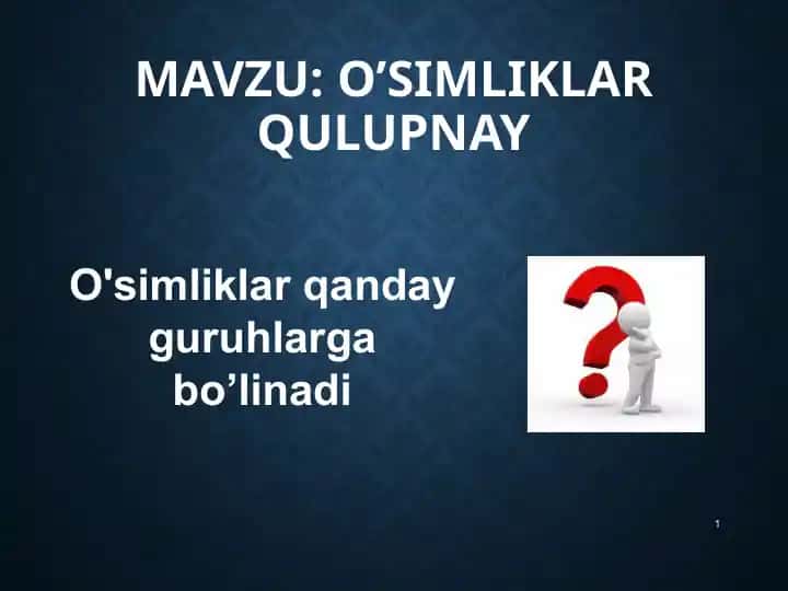 O'Simliklar qulupnay