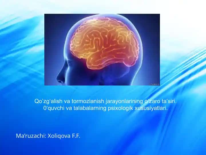 Qo’zg‘alish va Tashqi Lesiyvachalar Iqtisodiyot