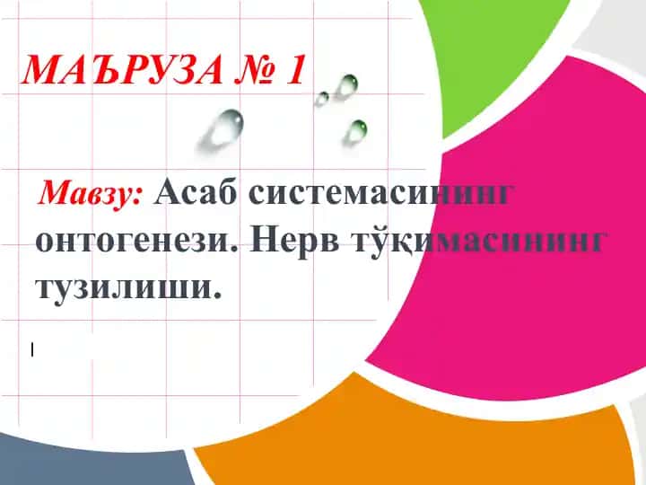 Asab sistemasi ontogeneziga doir ma'ruzalar
