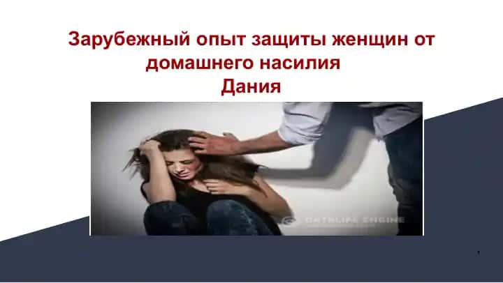 Зарубежный опыт защиты женщин от домашнего насилия Дания