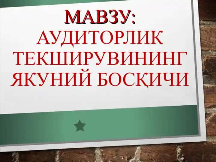 AUDIT TEKSHIRUVLARI