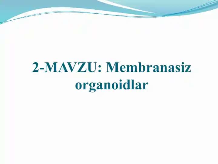 Membranasiz organoidlar