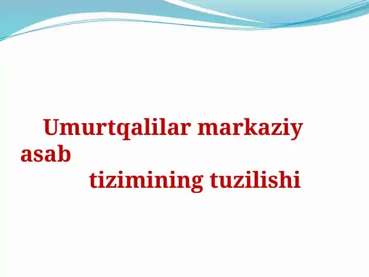 Umurtqalilar markaziy asab tizimining tuzilishi