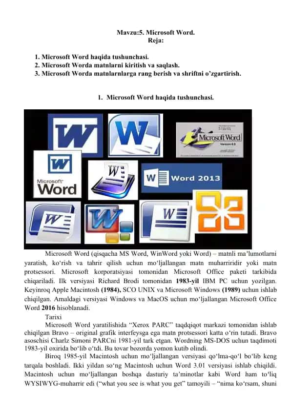 Microsoft Word