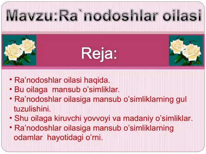 Ra’nodoshlar oilasi haqida