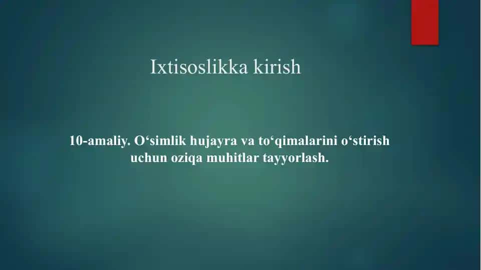 O‘simlik hujayra va to‘qimalarini o‘stirish