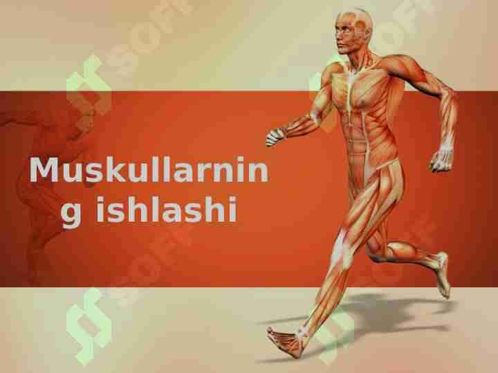 Muskullarning ishlashi