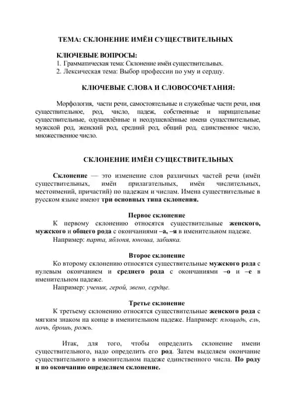 Склонение имён существительных