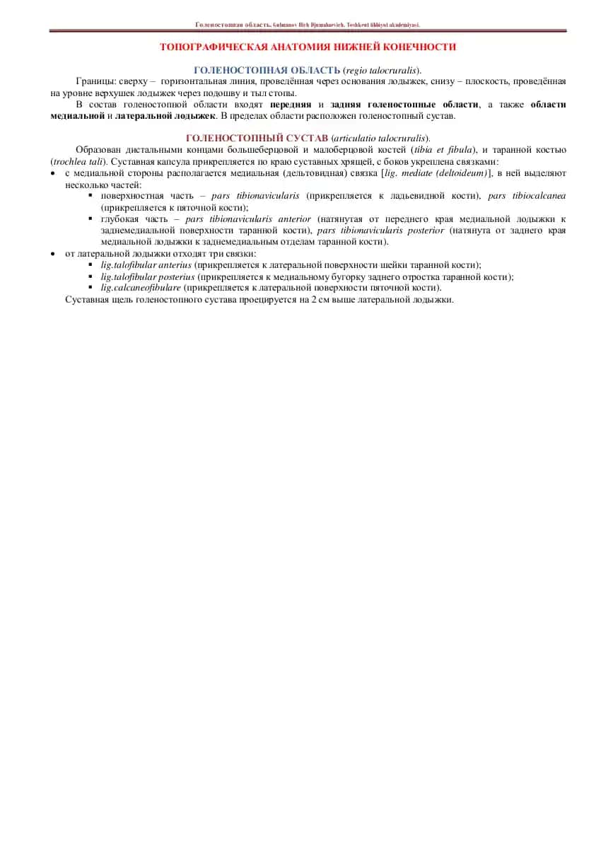 ТОПОГРАФИЧЕСКАЯ АНАТОМИЯ НИЖНЕЙ КОНЕЧНОСТИ