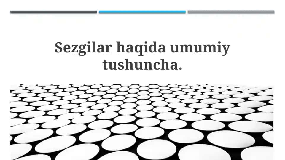 Intuitsiya