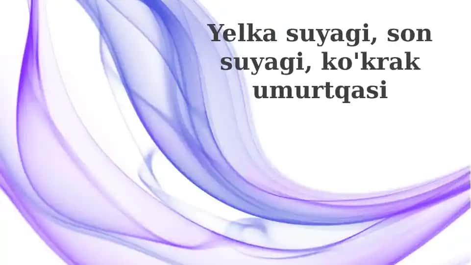 Kurak suyagi, Suyak koʻmigi va Koʻkrak umurtqalari