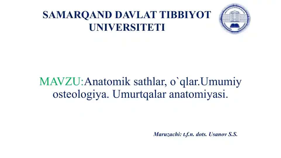 Anatomik sathlar va o‘qlar