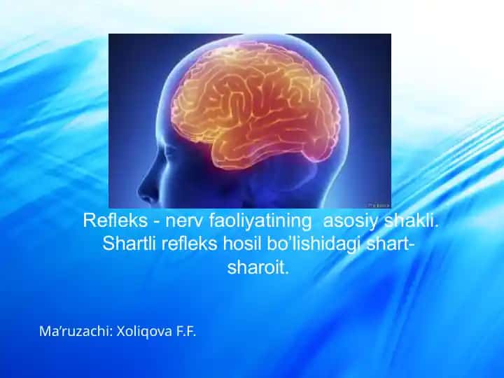 Refleks – nerv faoliyatining asosiy shakli