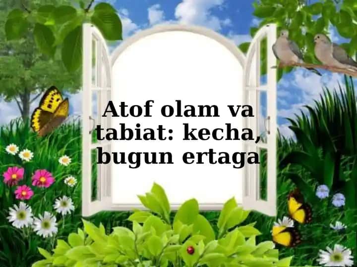 Atrof-olam va tabiat