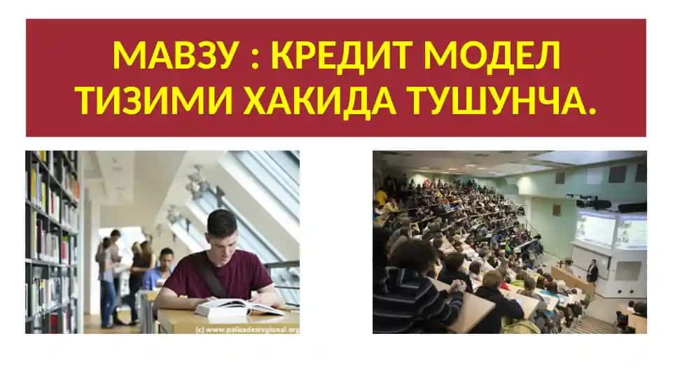 Kredit tizimi va kredit hisoblash