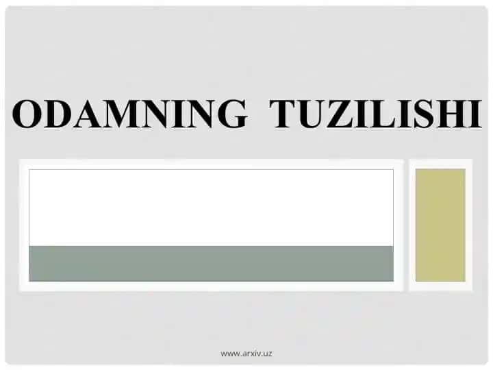 ODAMNING TUZILISHI