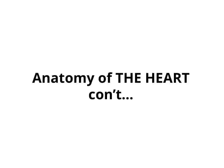 Anatomy of the Heart