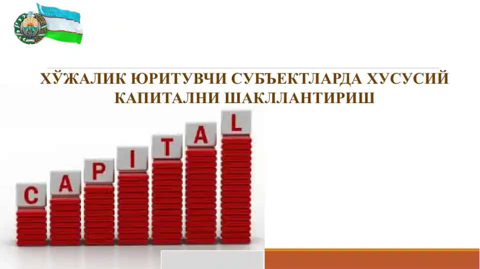 ХЎЖАЛИК ЮРИТУВЧИ СУБЪЕКТЛАРДА ХУСУСИЙ КАПИТАЛНИ ШАКЛЛАНТИРИШ РЕЖА
