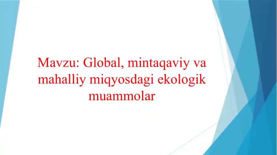 Global, mintaqaviy va mahalliy miqyosdagi ekologik muammolar
