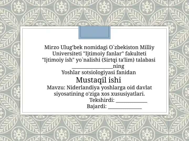 Niderlandiya yoshlarga oid davlat siyosatining o'ziga xos xususiyatlari