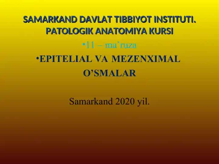 EPITELIAL VA MEZENXIMAL O’SMALAR