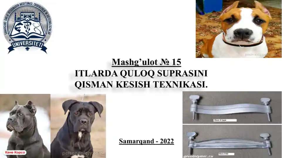 ITLARDA QULOQ SUPRASINI QISMAN KESISH TEXNIKASI