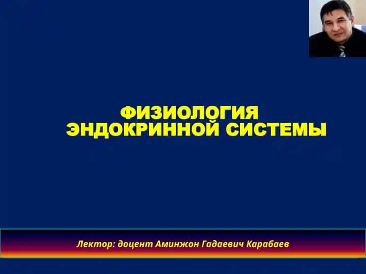 ФИЗИОЛОГИЯ ЭНДОКРИННОЙ СИСТЕМЫ