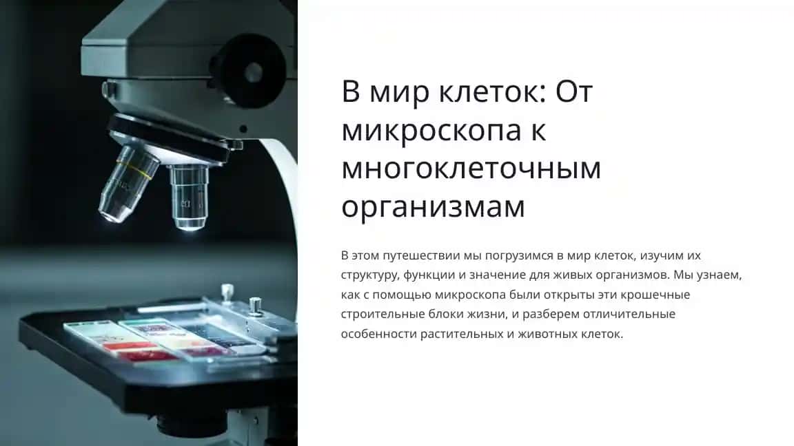 В мир клеток: От микроскопа к многоклеточным организмам