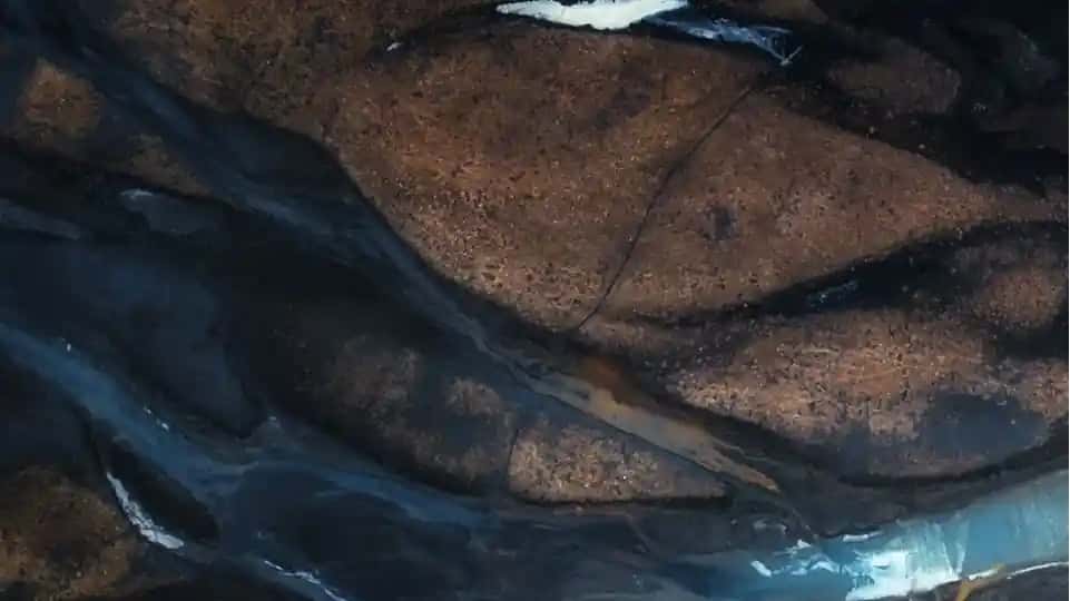 FEMUR