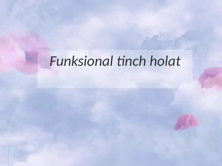 Funksional tinch holat
