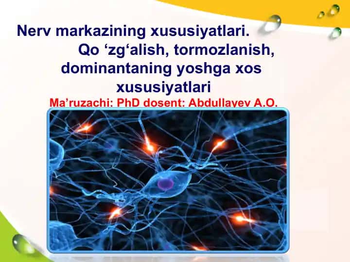 Nerv markazining xususiyatlari: Qo‘zg‘alish, tormozlanish, dominantaning yoshga xos xususiyatlari