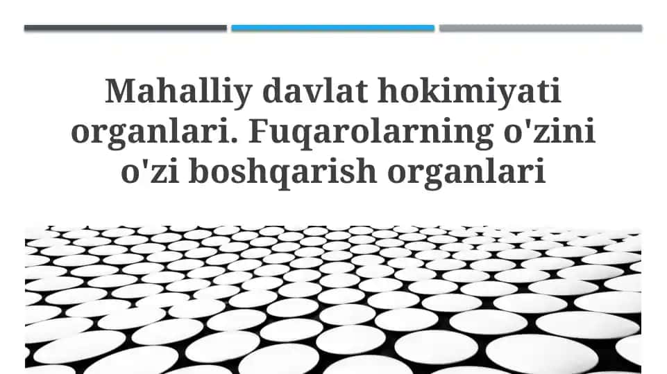 Mahalliy davlat hokimiyati organlari
