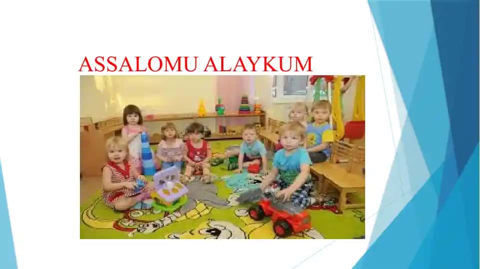 MAKTABGACHA TA'LIM TASHKILOTLARI DIREKTOR VA MUTAXASSISLARINI QAYTA TAYYORLASH VA ULARNING MALAKASINI OSHIRISH INSTITUTI