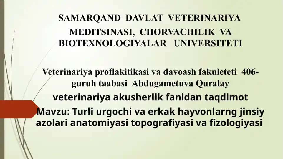 Erkak hayvonlarning jinsiy tizimi anatomiyasi va fizologiyasi