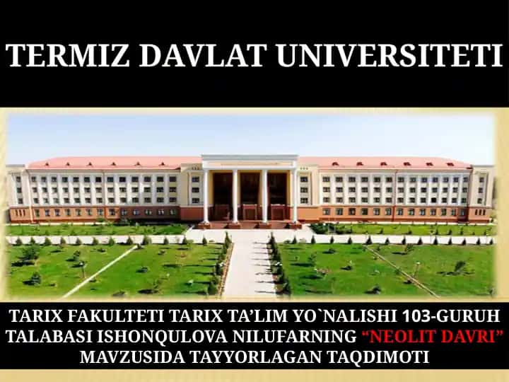 Neolit Davri