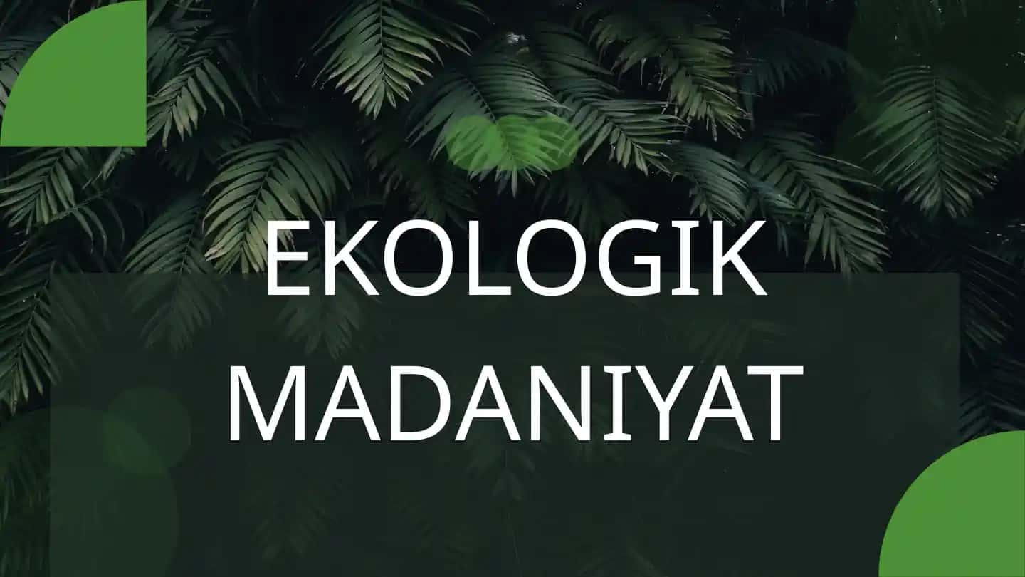 Ekologik madaniyat