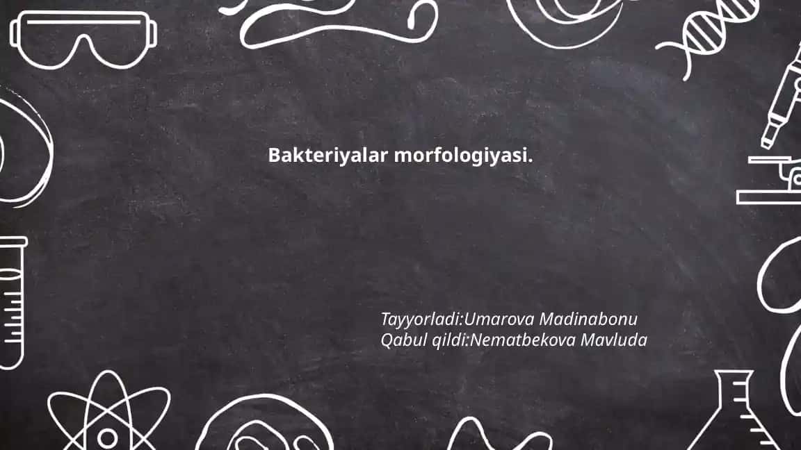 Bakteriyalar morfologiyasi