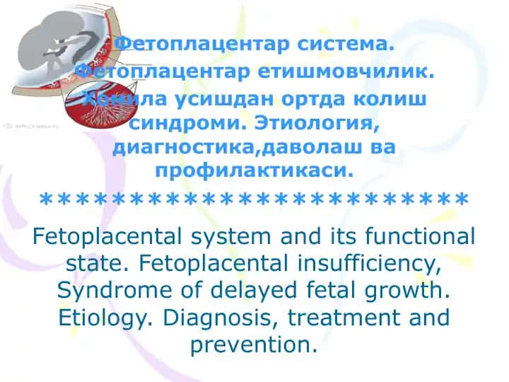 Фетоплацентар система