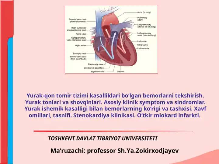 Yurak-qon tomir tizimi kasalliklari