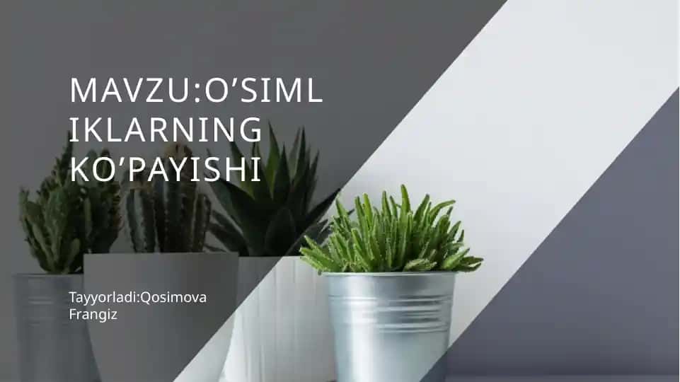 O’simliklarning ko’payishi