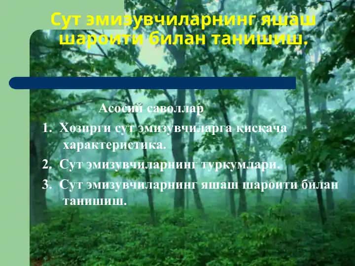 Сут эмизувчиларнинг яшаш шароити билан танишиш