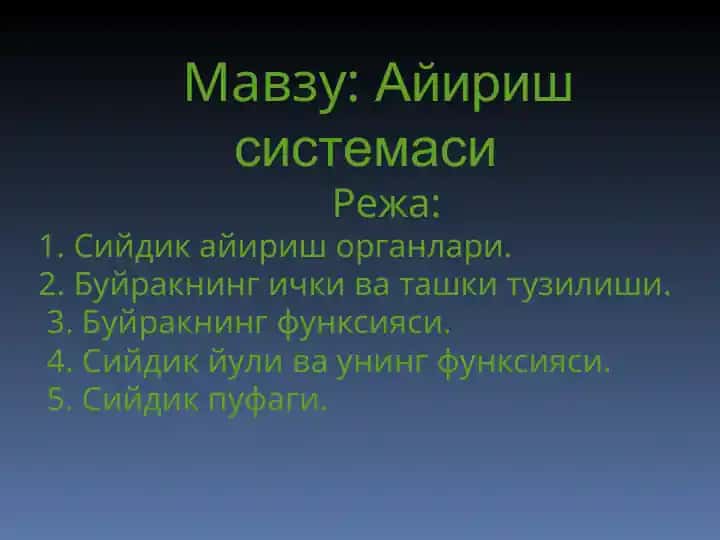 Айириш системаси