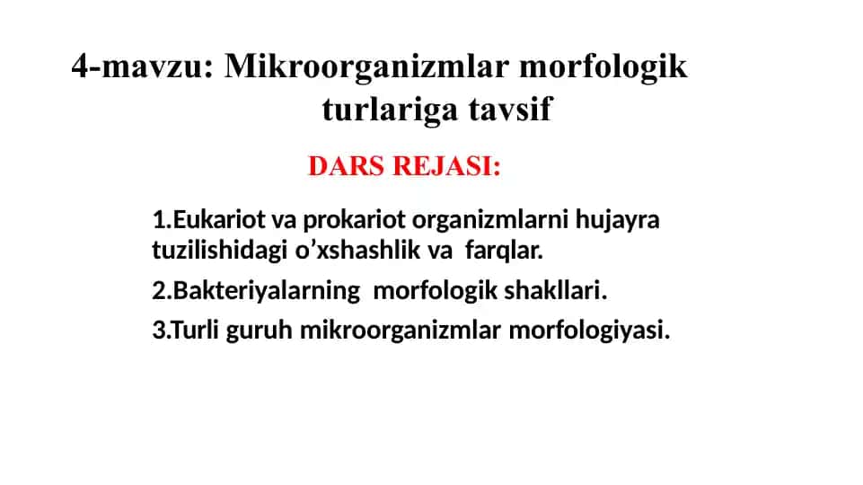 Mikroorganizmlar morfologiyasi