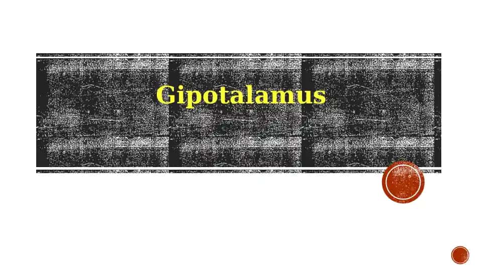 Gipotalamus