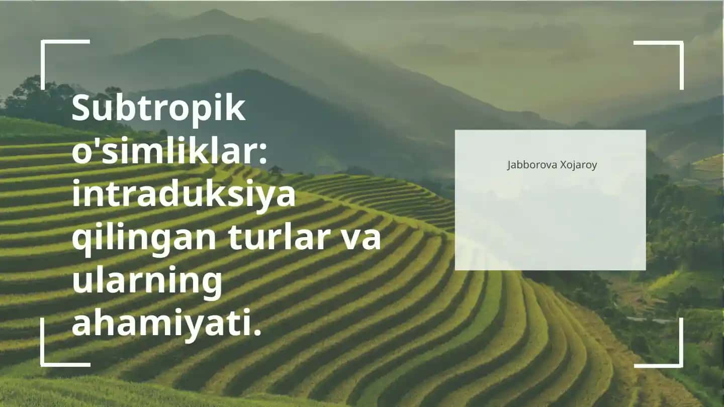 Subtropik o'simliklar: intraduksiya qilingan turlar va ularning ahamiyati