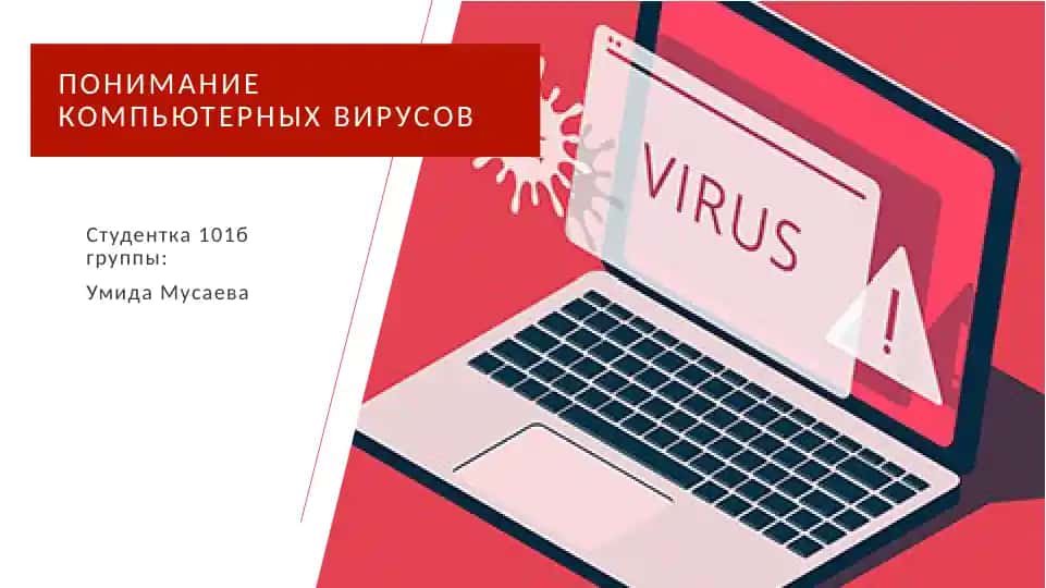 Понимание компьютерных вирусов