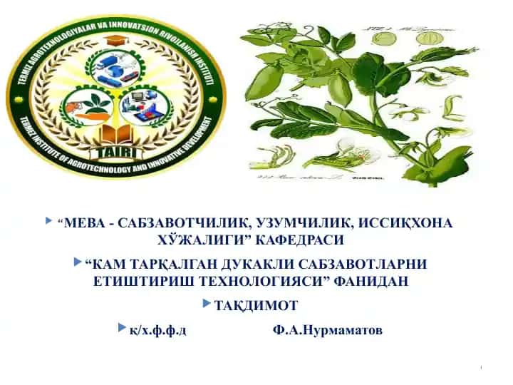 Кам тарқлаган дуккакли сабзавотлар