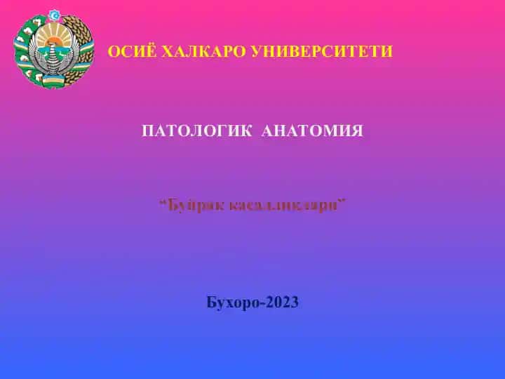Буйрак касалликлари