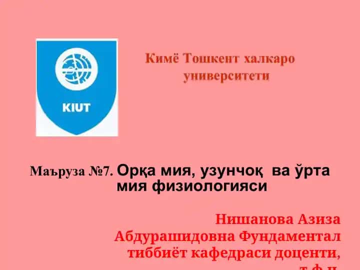 Орқа мия, узунчоқ ва ўрта мия физиологияси
